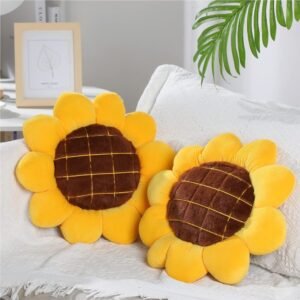 Decorative Pillows